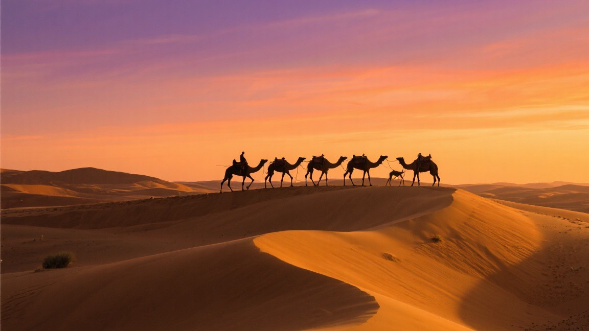 A Traveler's Guide to the Canadian Rockies